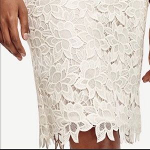 Ann Taylor Ivory Floral Scalloped Lace Pencil Skirt